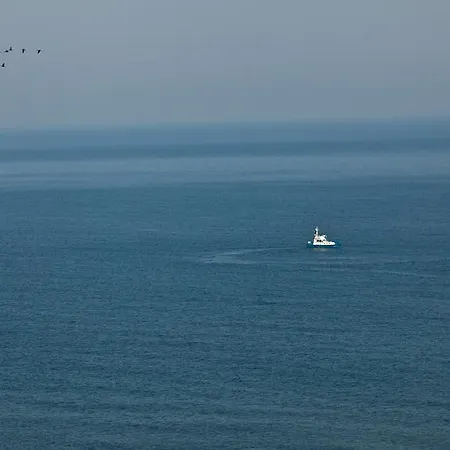 Baltic Dziwnówek