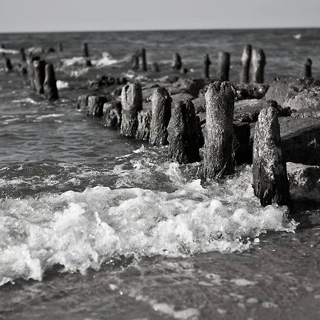 Baltic *